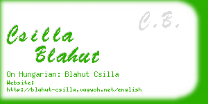 csilla blahut business card